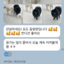 하이댕스 이미지