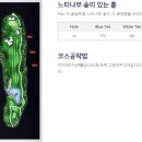 알프스대영 골프장 이미지