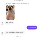 기억의대지 | 너가 내 장례식 안 와서 부활했다
