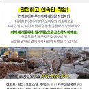 소망지업사 이미지