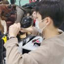 안정화헤어