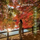 내수면환경생태공원주차장 | 경남 단풍 명소 진해 '내수면 환경 생태공원' 주차장 화장실