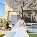 라온제나 이미지