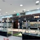 강아지분양 마이댕냥 일산점 이미지