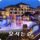 소망여행사