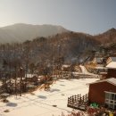 미숭산자연휴양림 이미지