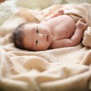 평화로01 이미지