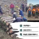 영덕군산림조합