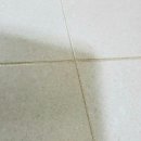 오송당구장 이미지