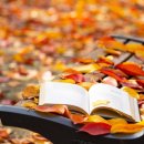 울주천상도서관 이미지