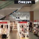 못된고양이 이미지