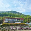 천송이풀빌라 이미지