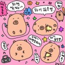 큐브데이 이미지