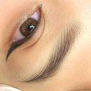 바니앤피그눈썹