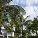 프로카월드 | 아이랑 베트남 푸꾸옥 (3) 썬월드 혼똔섬 케이블카 워터파크, 마사지, 선셋타운 버기투어, 부이페스트...