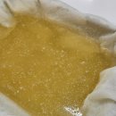 고메이 퍼피 이미지