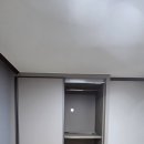 우성동백 이미지