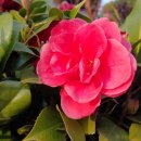 석성보건진료소 이미지