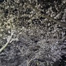 경원골프연습장 이미지