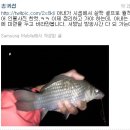 (주)동행 이미지