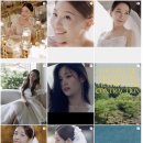 [본식DVD] 웨이블렛 계약 후기 &amp; 견적 공유 - 웨이블렛 유어브로드 지지오티필름 그래비티 더그레이스...