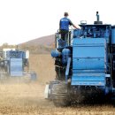 대순농장 이미지