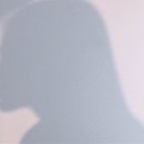 더블유-컬렉션