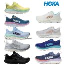 가비오타(GAVIOTA) 이미지