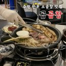 수원 곡반정 맛집_곱곱창 | 신선한 한우 소곱창과 사이드에 반한 곳
