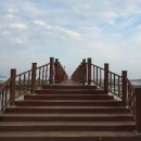 예닮이네 이미지