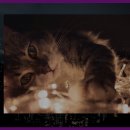 용암 농촌체험 휴양마을 이미지