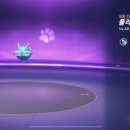 플라잉펫 이미지