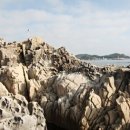 크로톤풀빌라 이미지