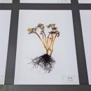 허브밸리(원형광장) | 남원 아이랑 실내 가볼만한곳 지리산 허브밸리