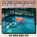 블루힐 단독 풀빌라 | 경주 놀거리 풍부한 단독 독채펜션_ 블루힐 풀빌라 펜션