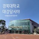 NR-25[대학로]-상-4 | 🎤경북대학교 대강당 좌석 시야 후기(Feat. THE 이재훈 전국투어콘서트)🎤