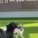 멍더캐슬 이미지