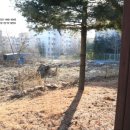 하늘소공인중개사사무소 이미지