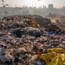 PINK GAME PC 이미지