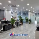 부동산중개법인월드부동산 이미지