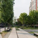 양심(羊心) 이미지