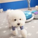 무무유치원 이미지