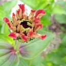 해님농장 이미지