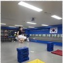 용인대 청명 태권도 이미지