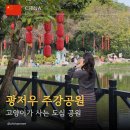 깜장붕어 | 광저우 여행 가볼만한 곳｜주강공원 산책 코스 & 고양이 많은 힐링 스팟