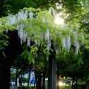 불무공원 이미지