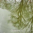[강원경제신문] 신경자의 디카시 칸타빌레 / 양또리(미옥) - 물오름달 이미지