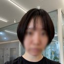 장곡동 미용실 웨이비헤어 장곡점 / 여자 숏컷 빈티지펌