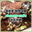 주주(ZOO ZOO) 이미지