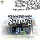 디자인노바 네이버블로그